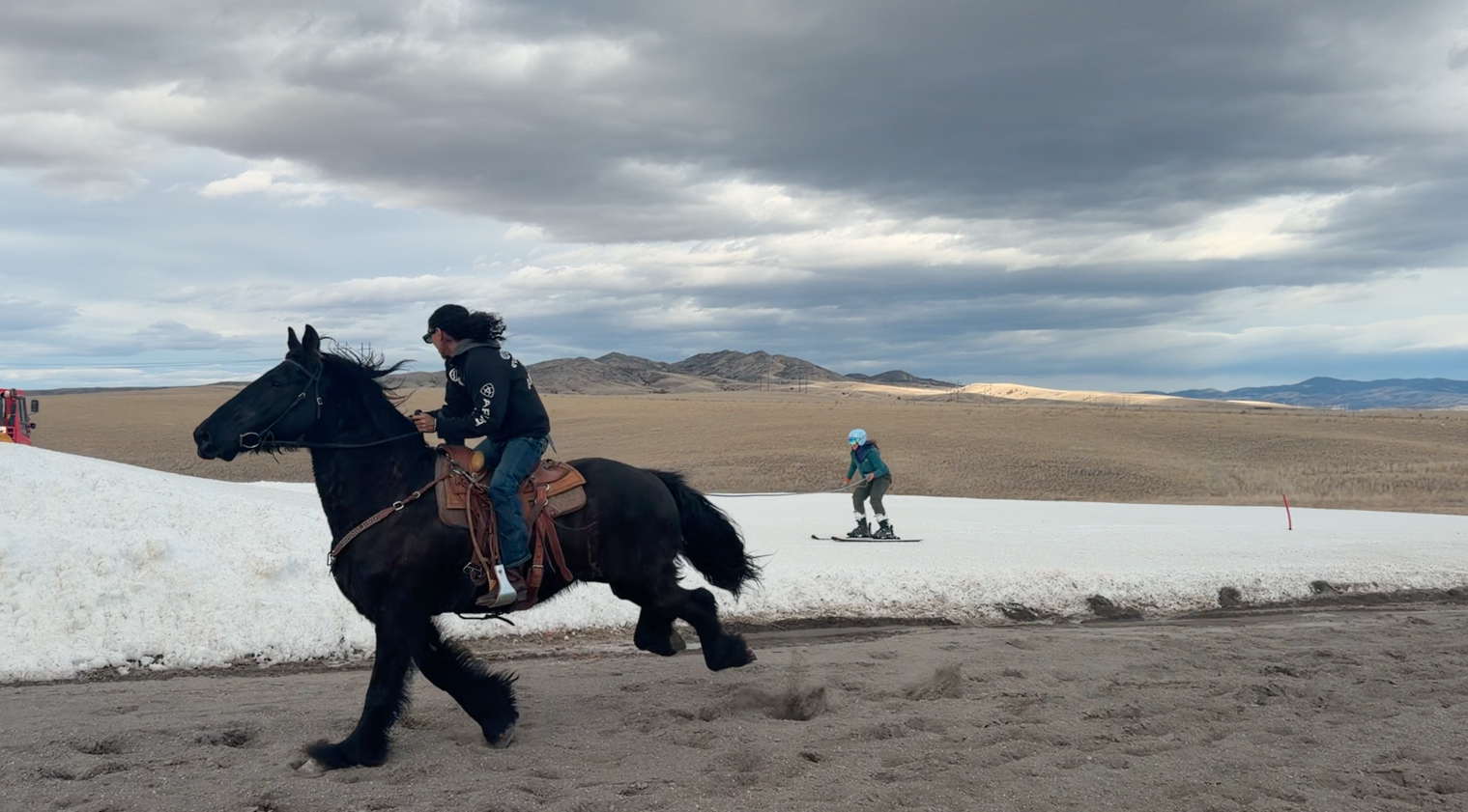 Skijoring Three Forks