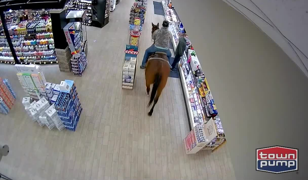 wrangler.PNG
