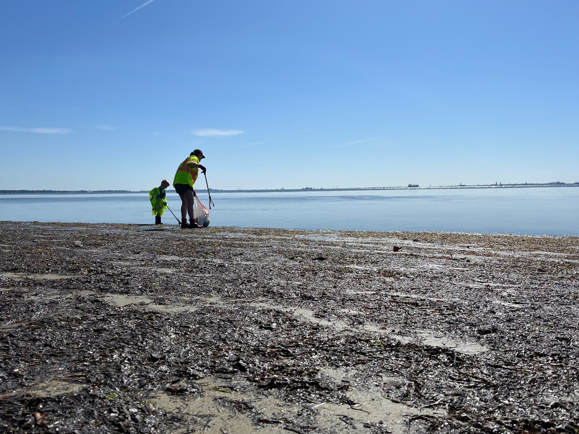 clean the bay day 2024.jpg