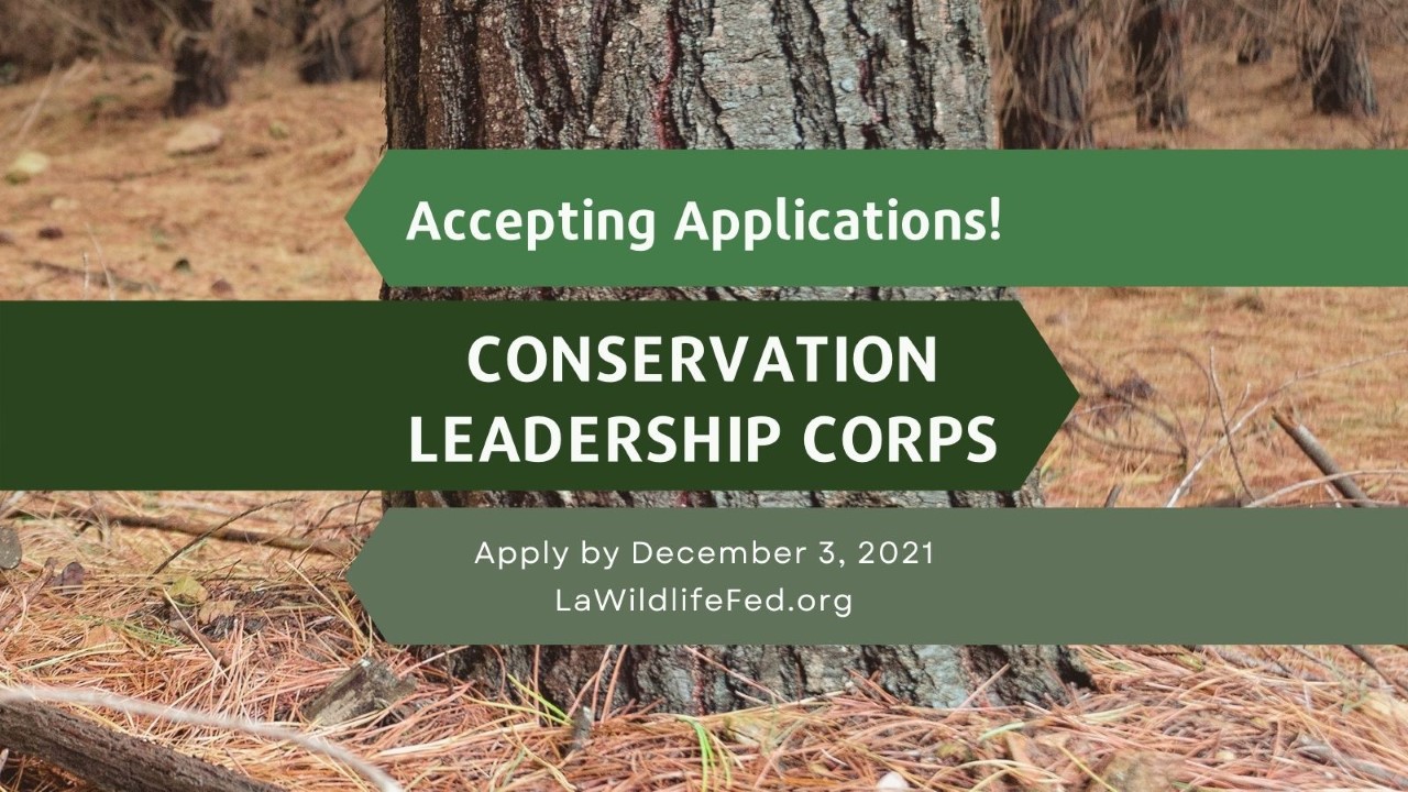 conservation.jpg