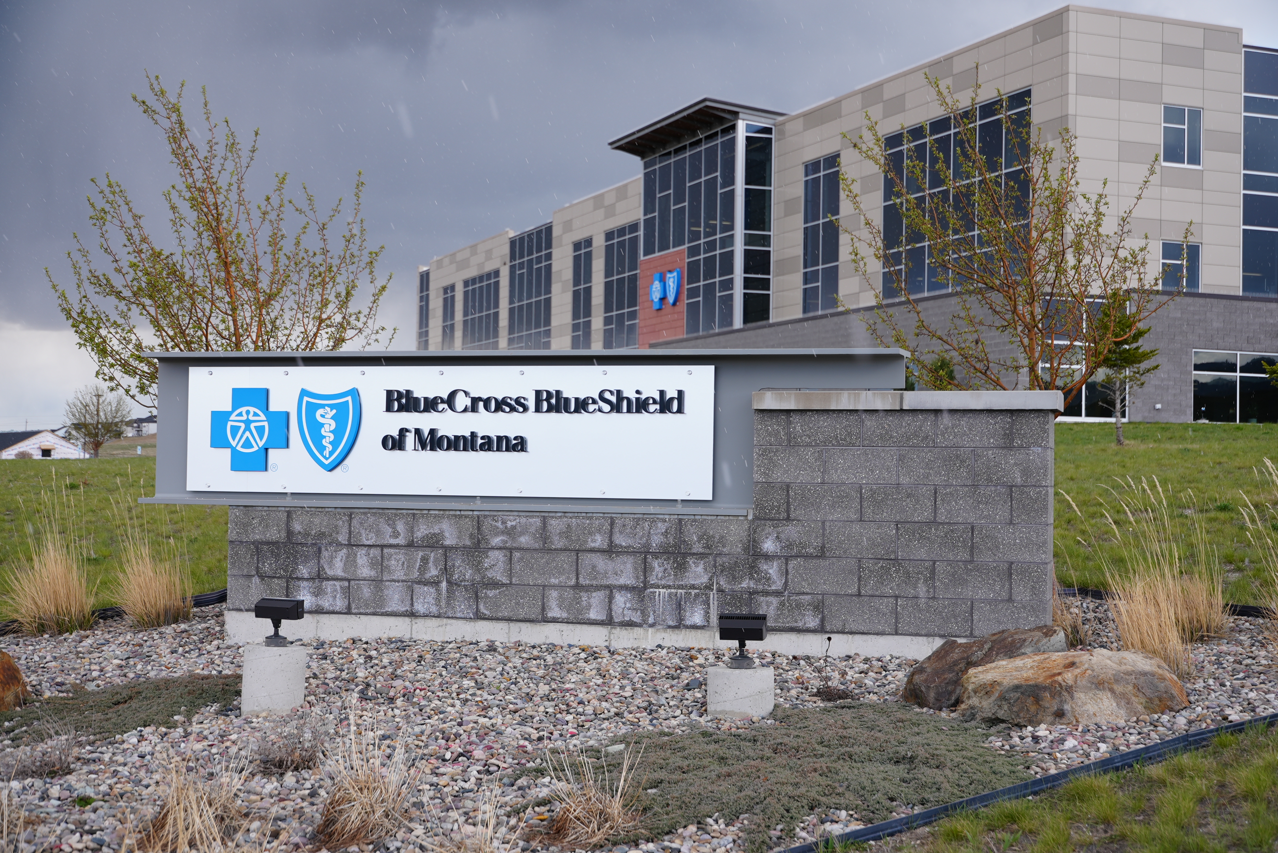 Blue Cross Blue Shield of Montana