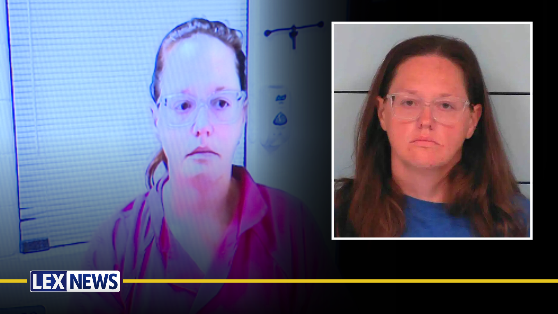 Megan Foley appears in court, July 29 via Zoom