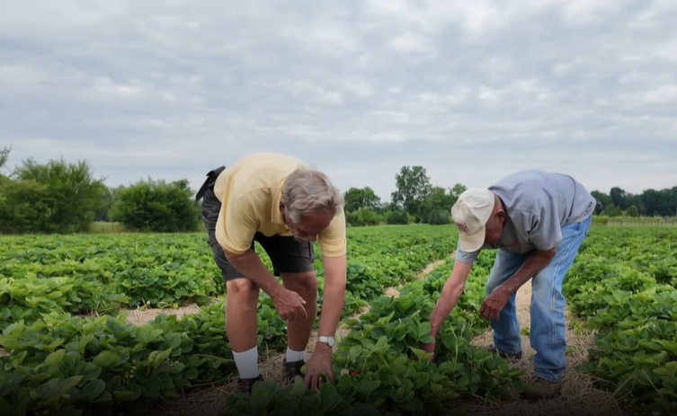 Screenshot 2025-06-16 205030.png