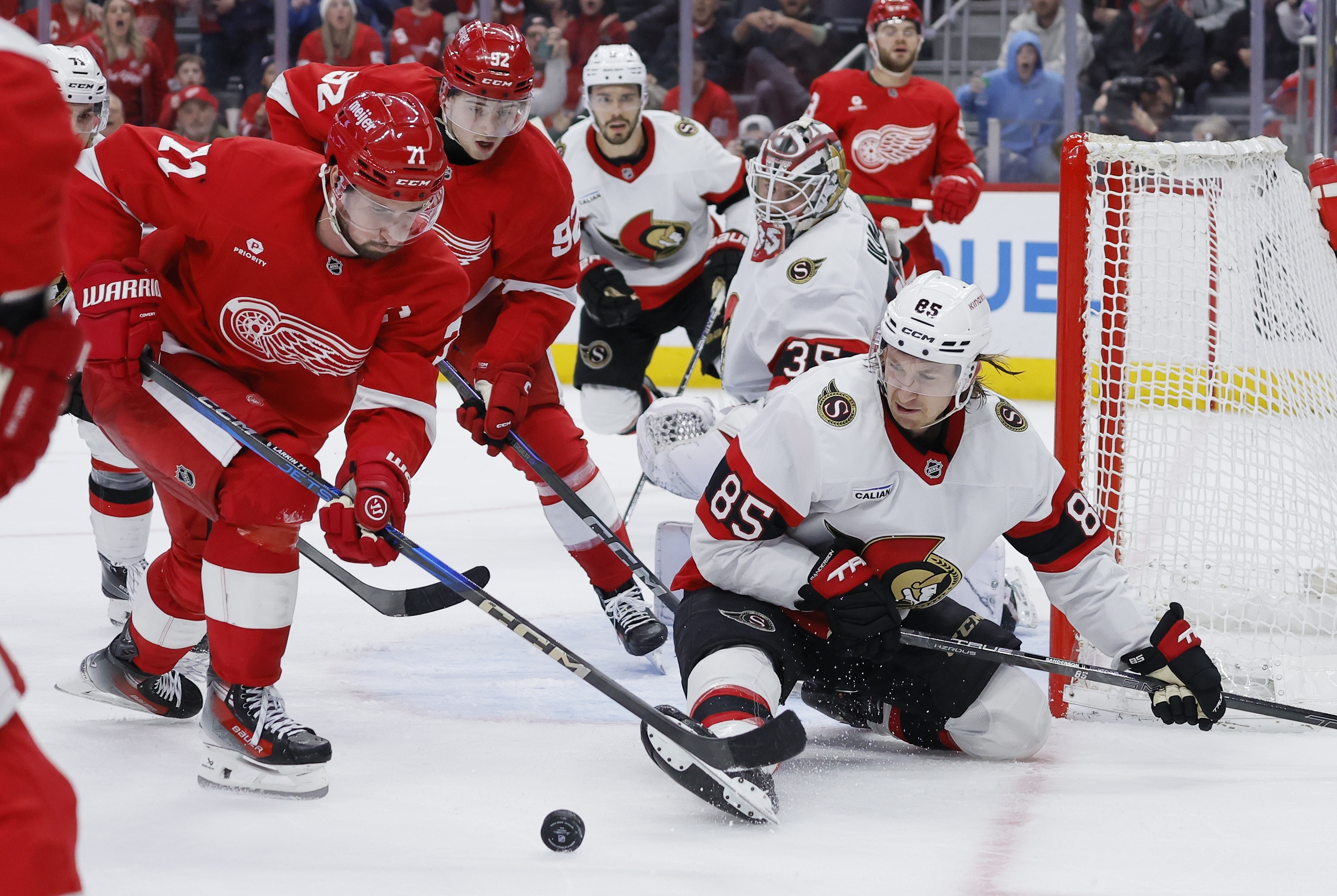 Senators Red Wings Hockey