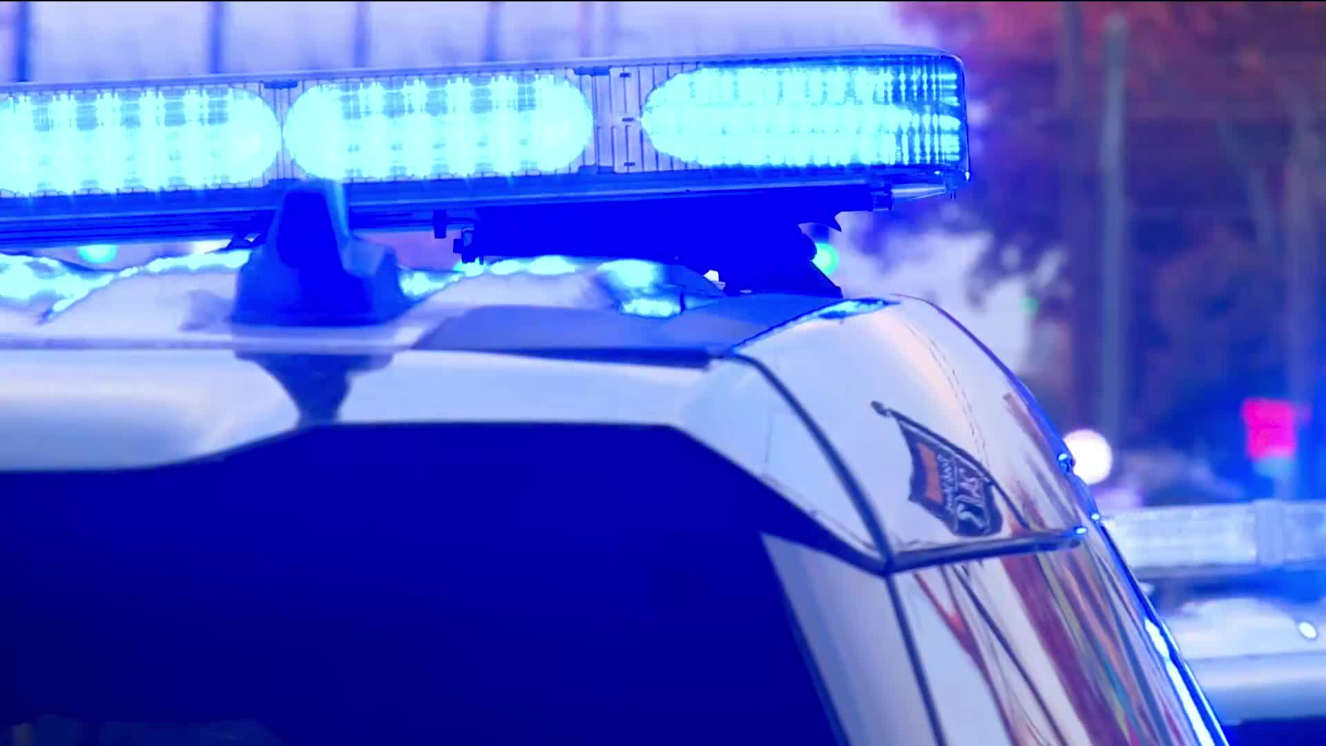 Richmond Police Lights Generic Daytime