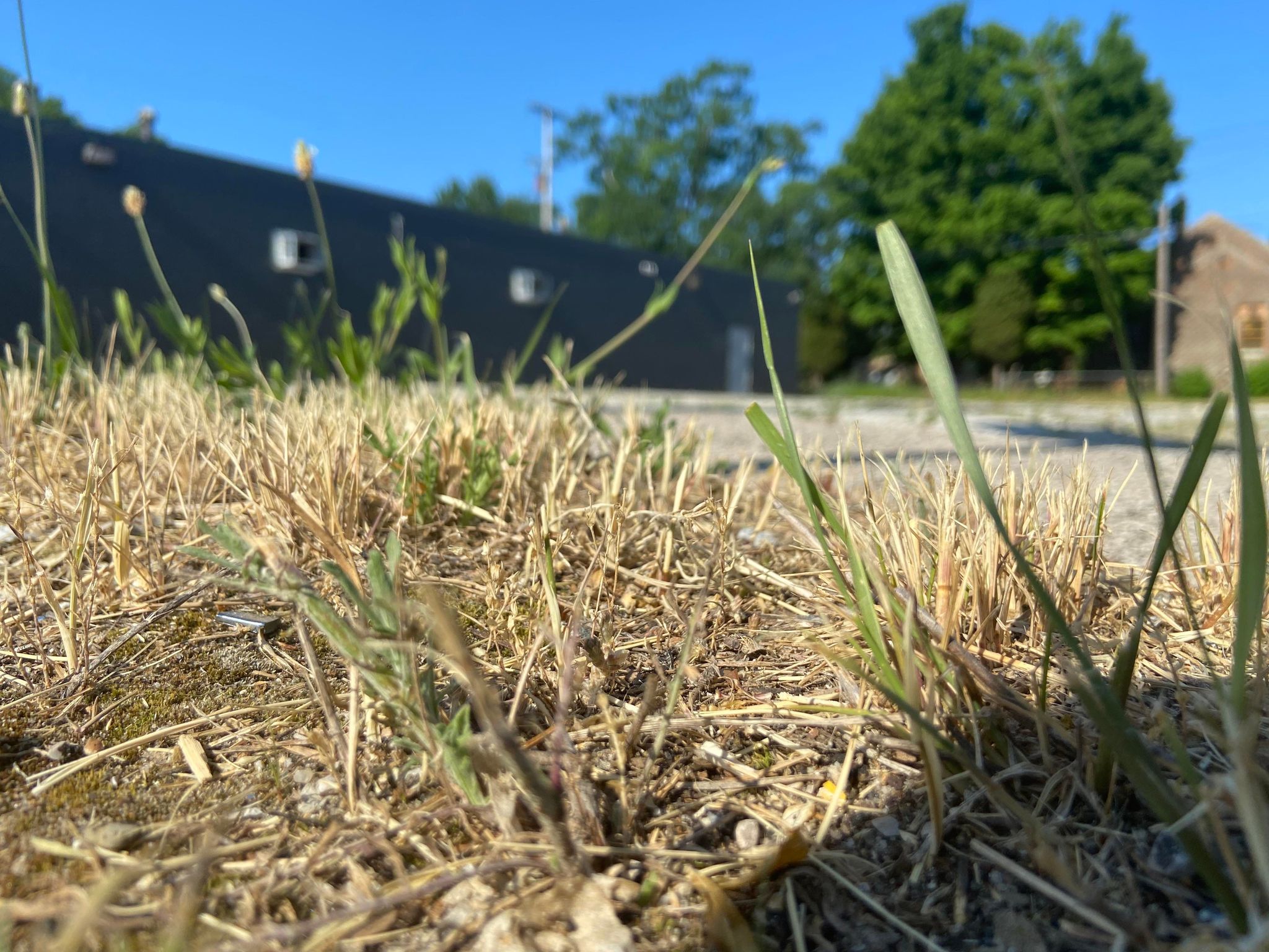 Downtown Muskegon Heights 