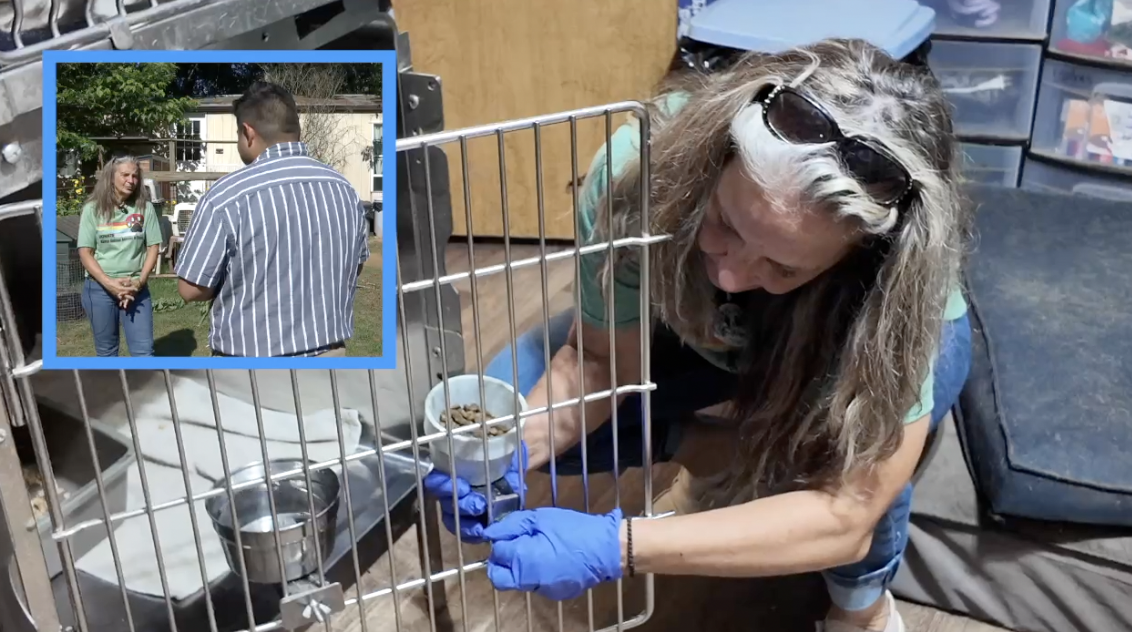 Haven Animal Rescue to build first permanent campus in Caldwell