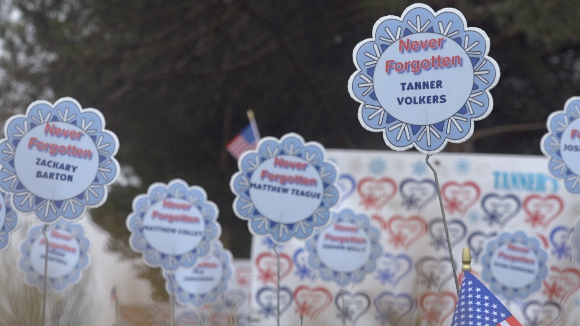 Tanner's Snowflake Project