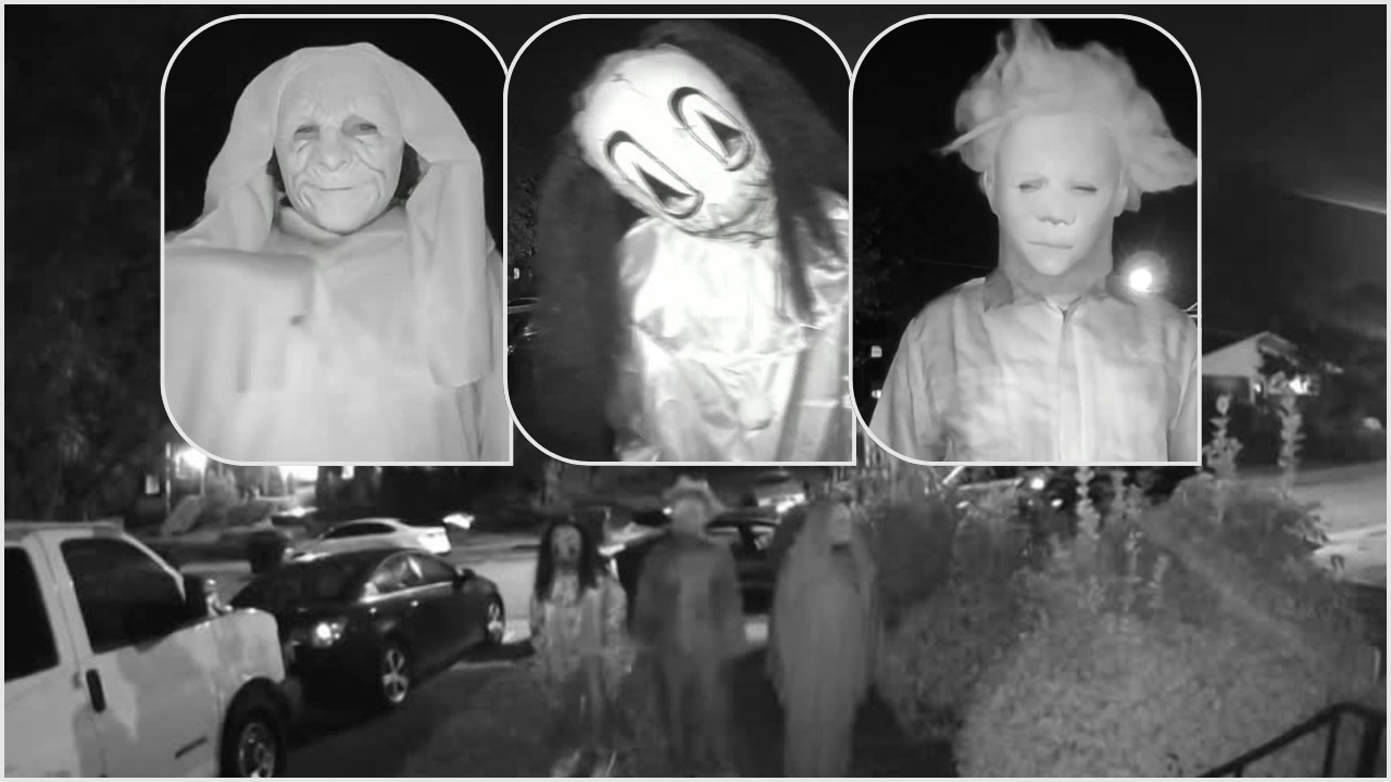 Alexandria Doorbell Video 