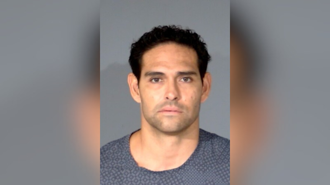 mark sanchez booking photo