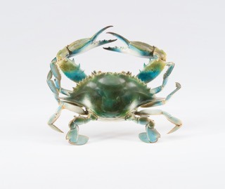 crab.jpg
