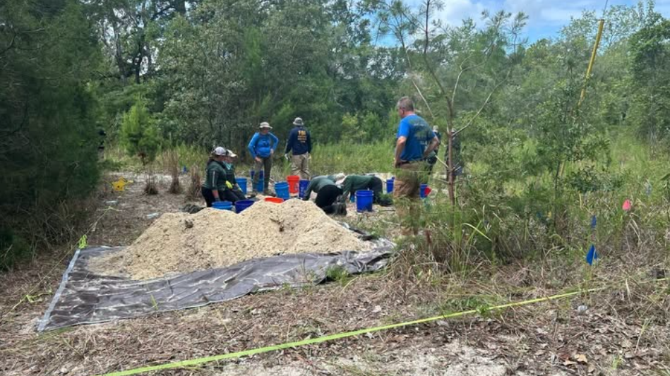 Nothing of significance found after search for remains related to 70s Mansfield murders: HCSO