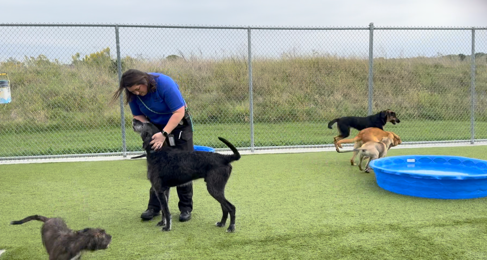 Samantha Lehman, .png