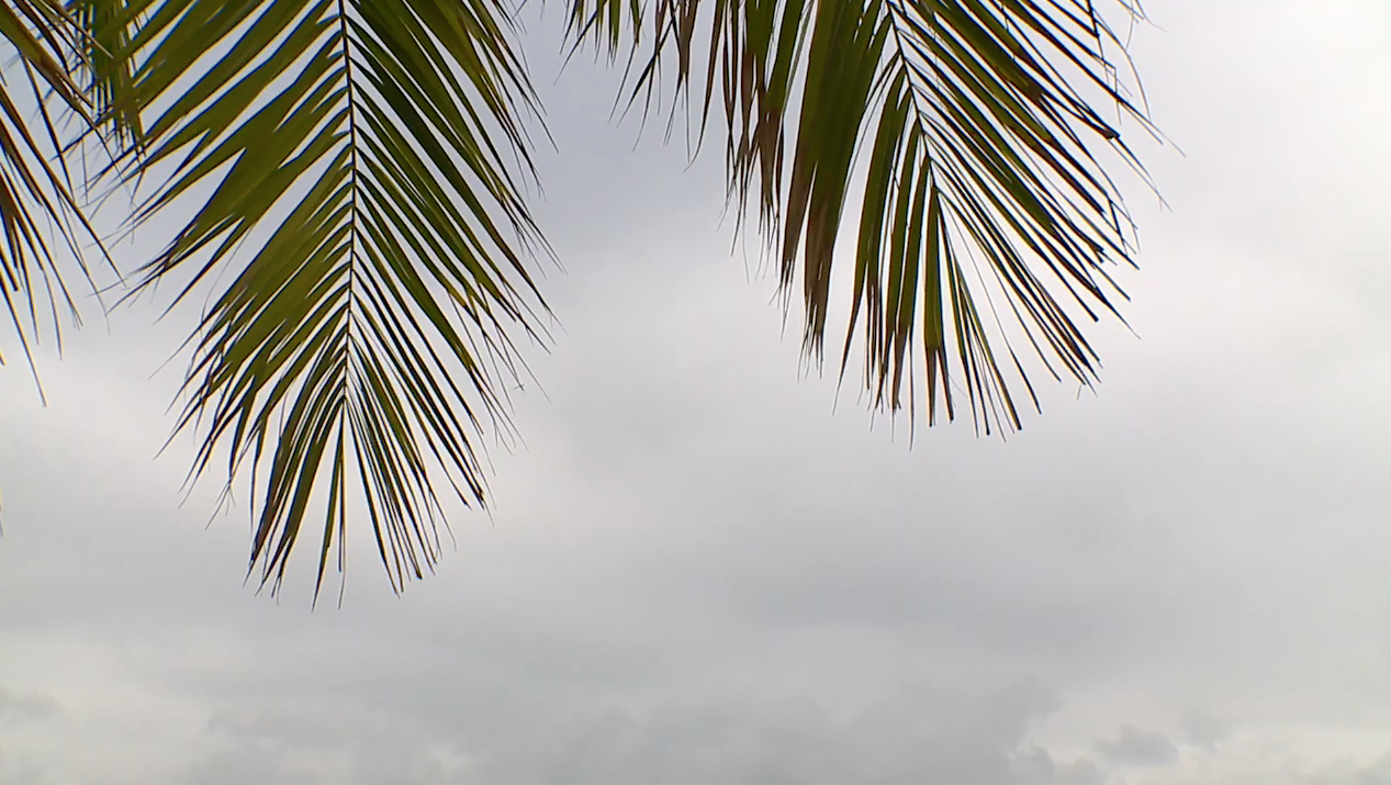 June Gloom