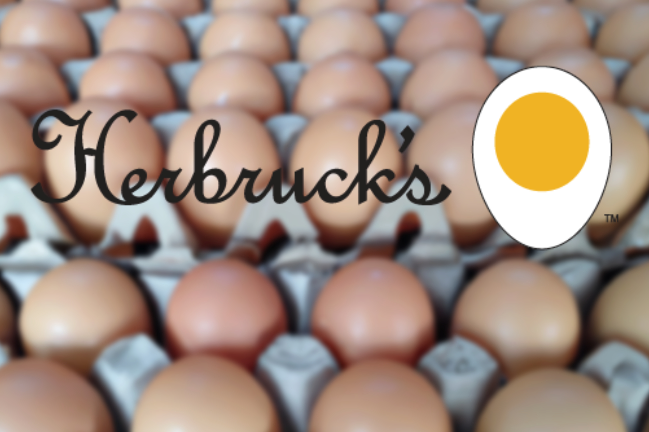 herbrucks web photo
