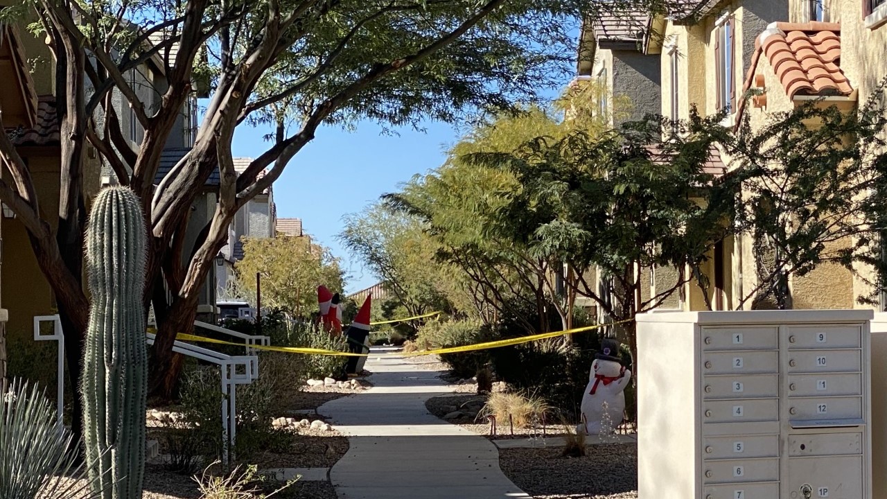 tucson murder suicide