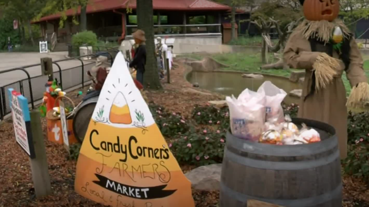 Untitled design - 2024-10-18T152808.435.png