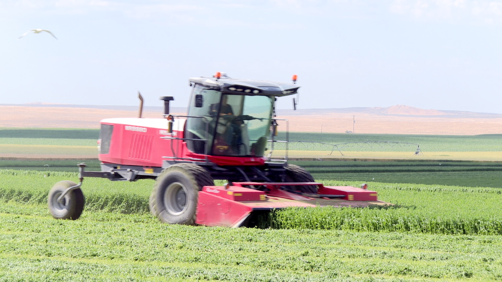 BOISE FARM TOUR thumbnail.jpg