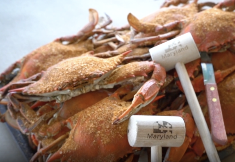 Maryland Office of Tourism.png