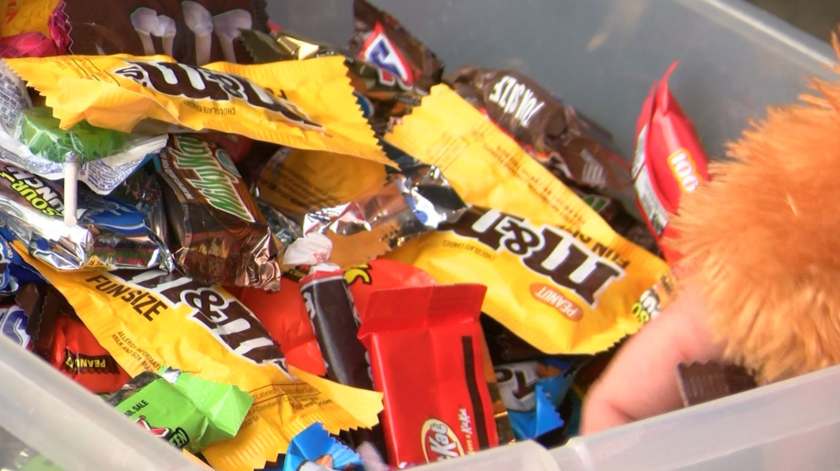 candy trick or treat.JPG