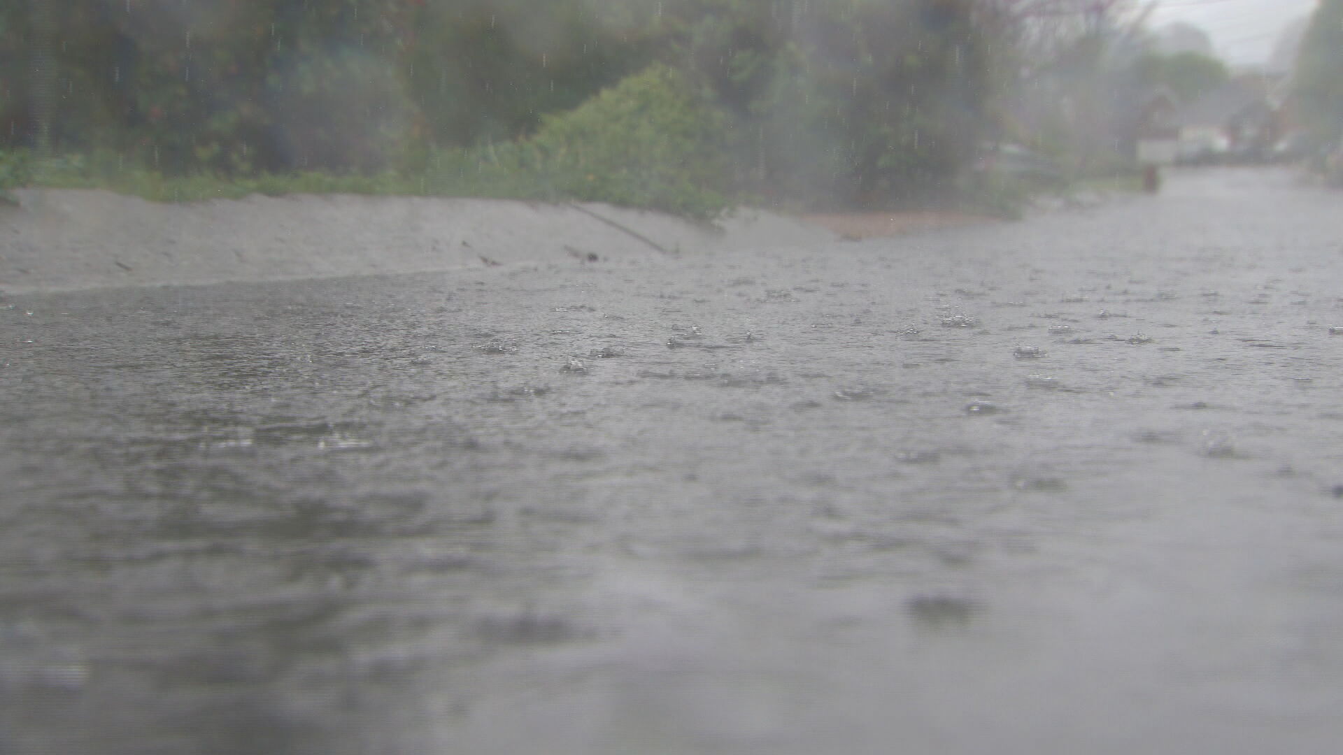 rain water generic 