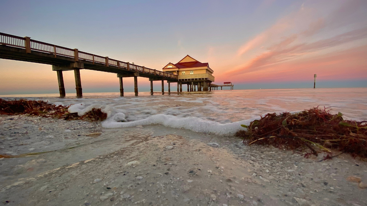 Clearwater Beach Chad Mills.png