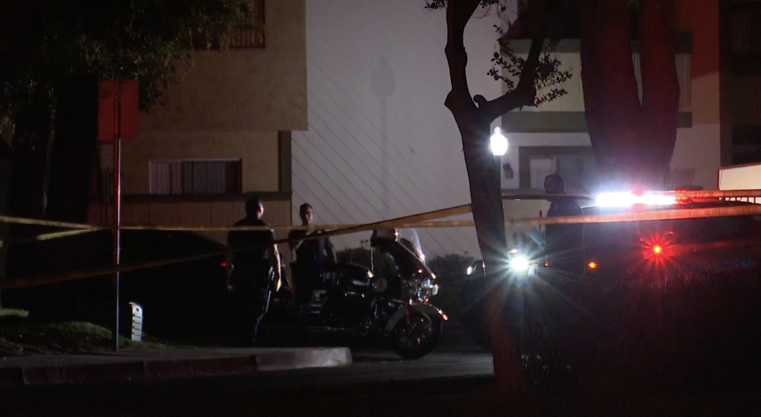 new stine and belle terrace ax