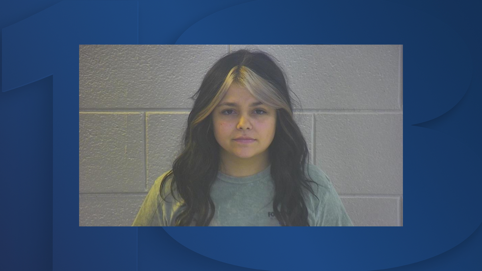 Pulaski County mug 