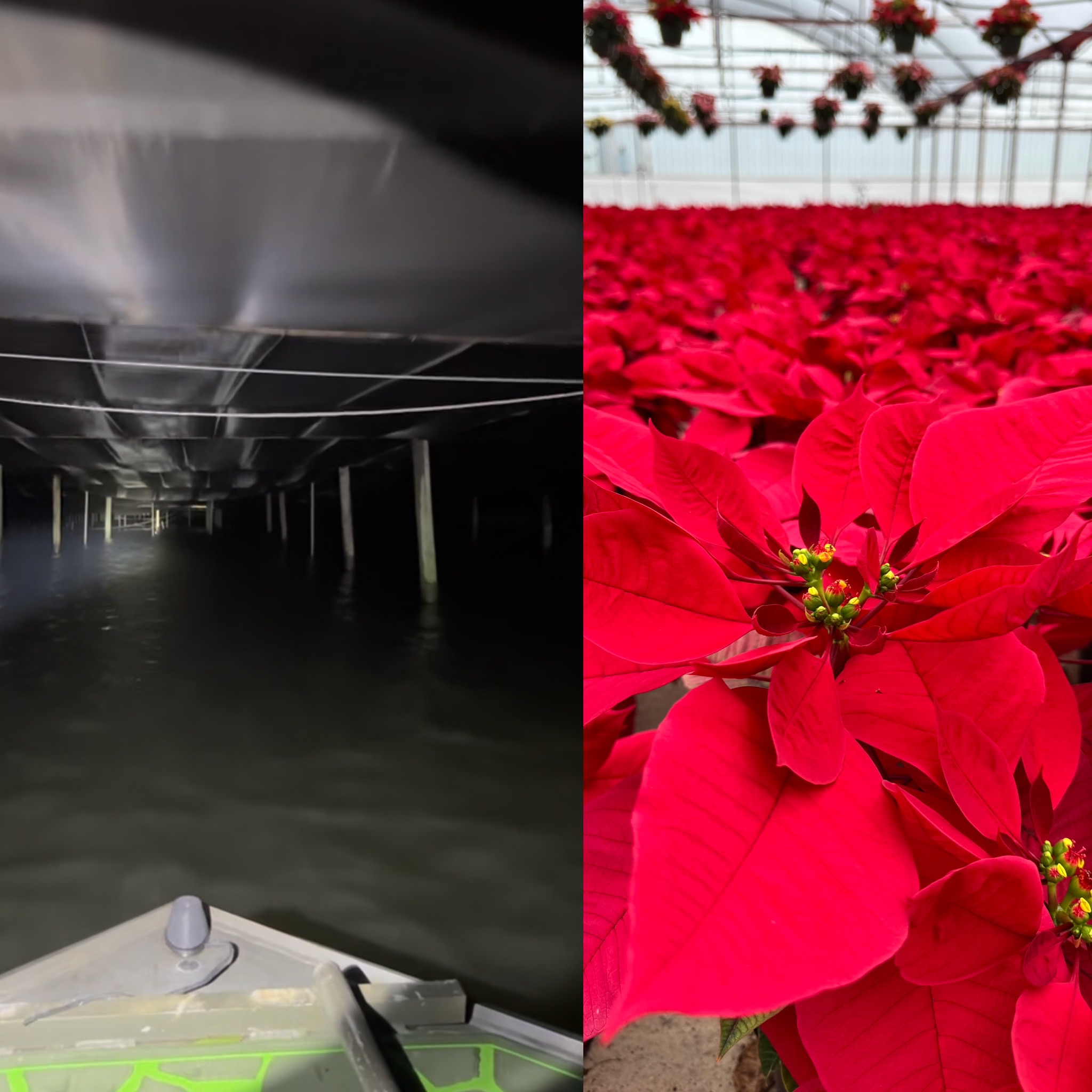 Before and after photos of Orban's Nursery from Sept. 2024 to present day.