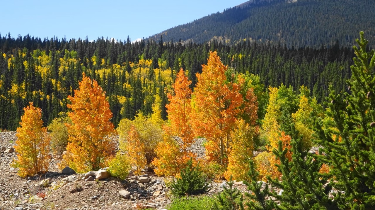 Colorful Colorado