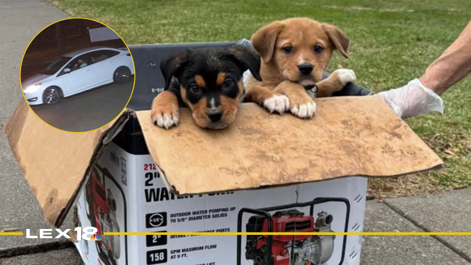 Featured Image Custom Edit (12).png