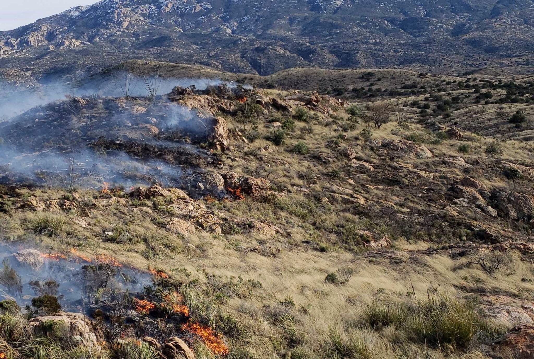 Redington Pass Wildfire
