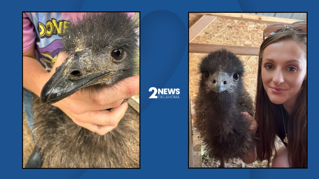 Brenda the Emu