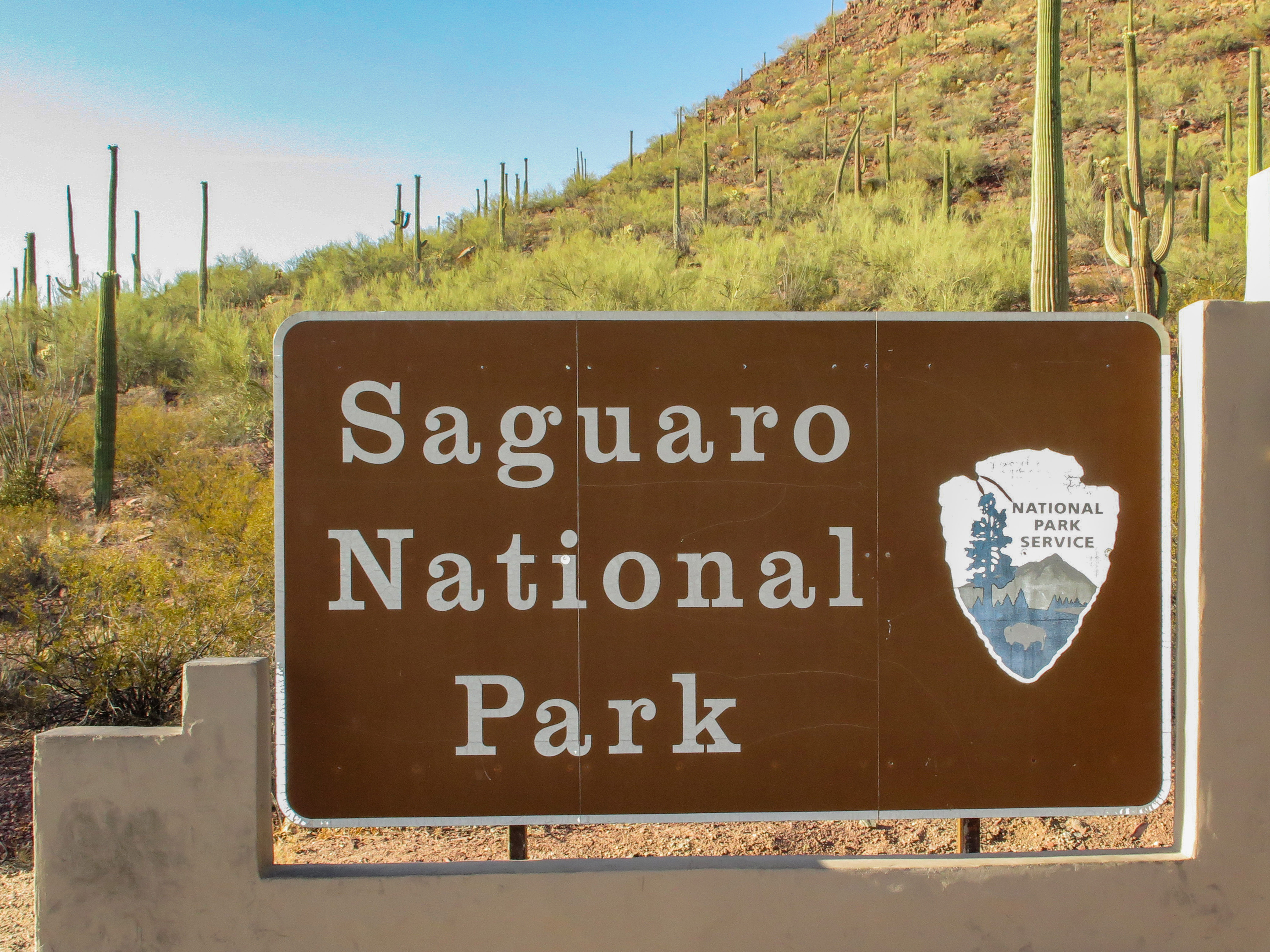 Saguaro_National_Park_(West)_1 WIKICOMMONS.jpg
