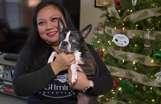 Screenshot 2025-12-29 at 5.53.24 PM.png