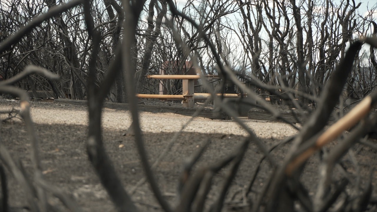 Black Canyon South Rim Fire.jpg