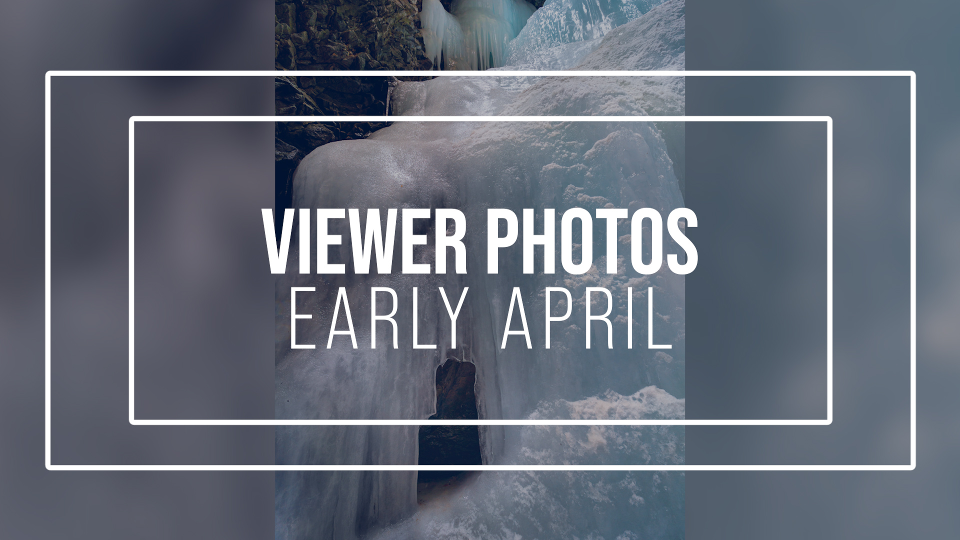 Viewer photos: early April