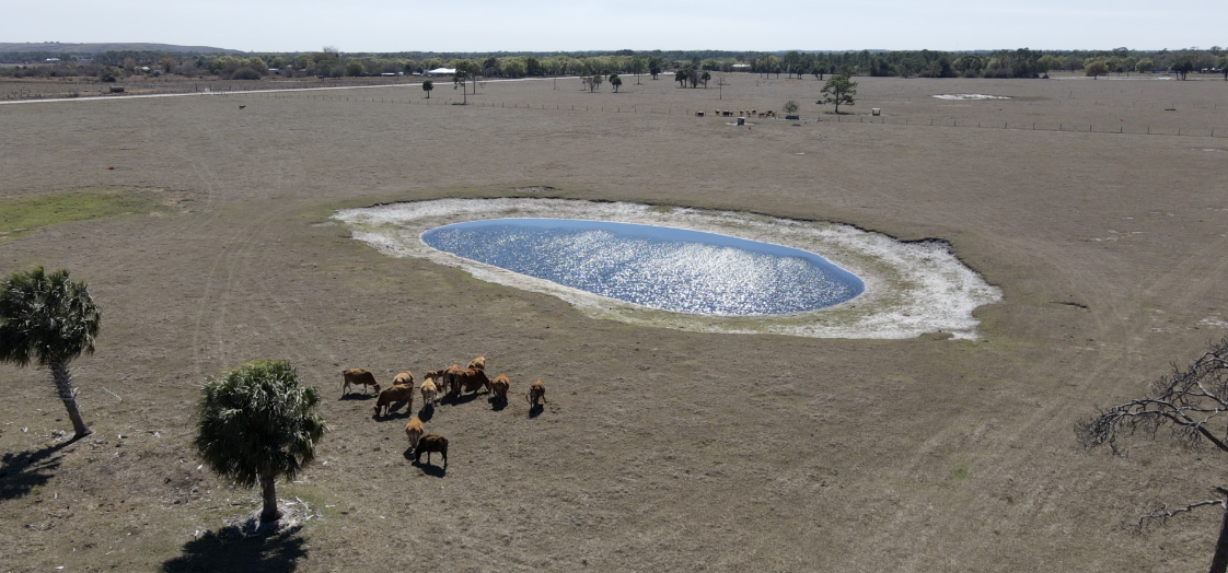 Screenshot 2026-03-04 at 1.14.16 PM.png