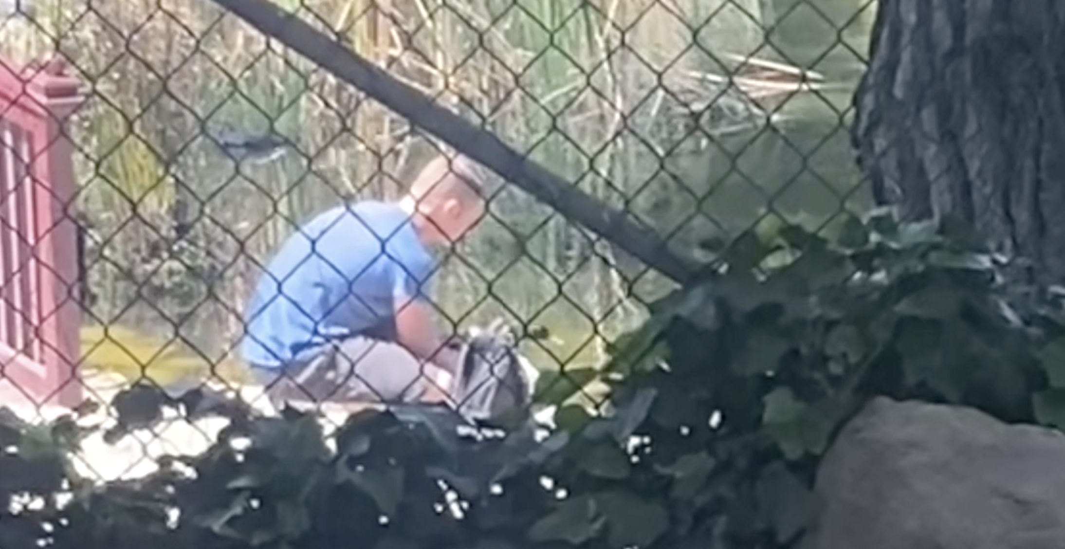 Caught on video: man stuffs duck into bag near Clairemont pond, sparking confrontation