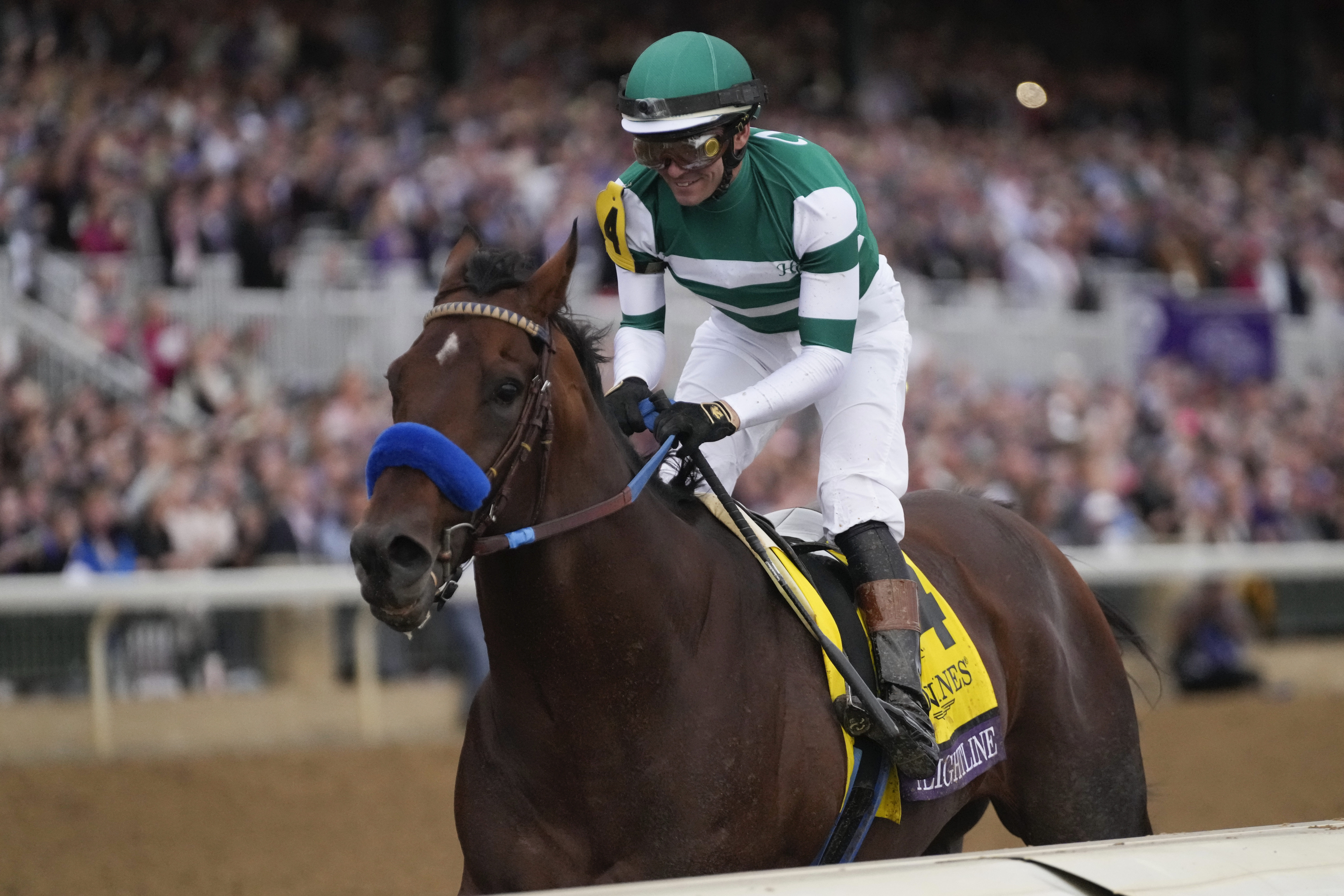 Breeders Cup Horse Racing