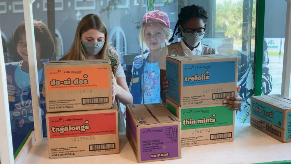 Girl-Scout-Cookies-cases.png