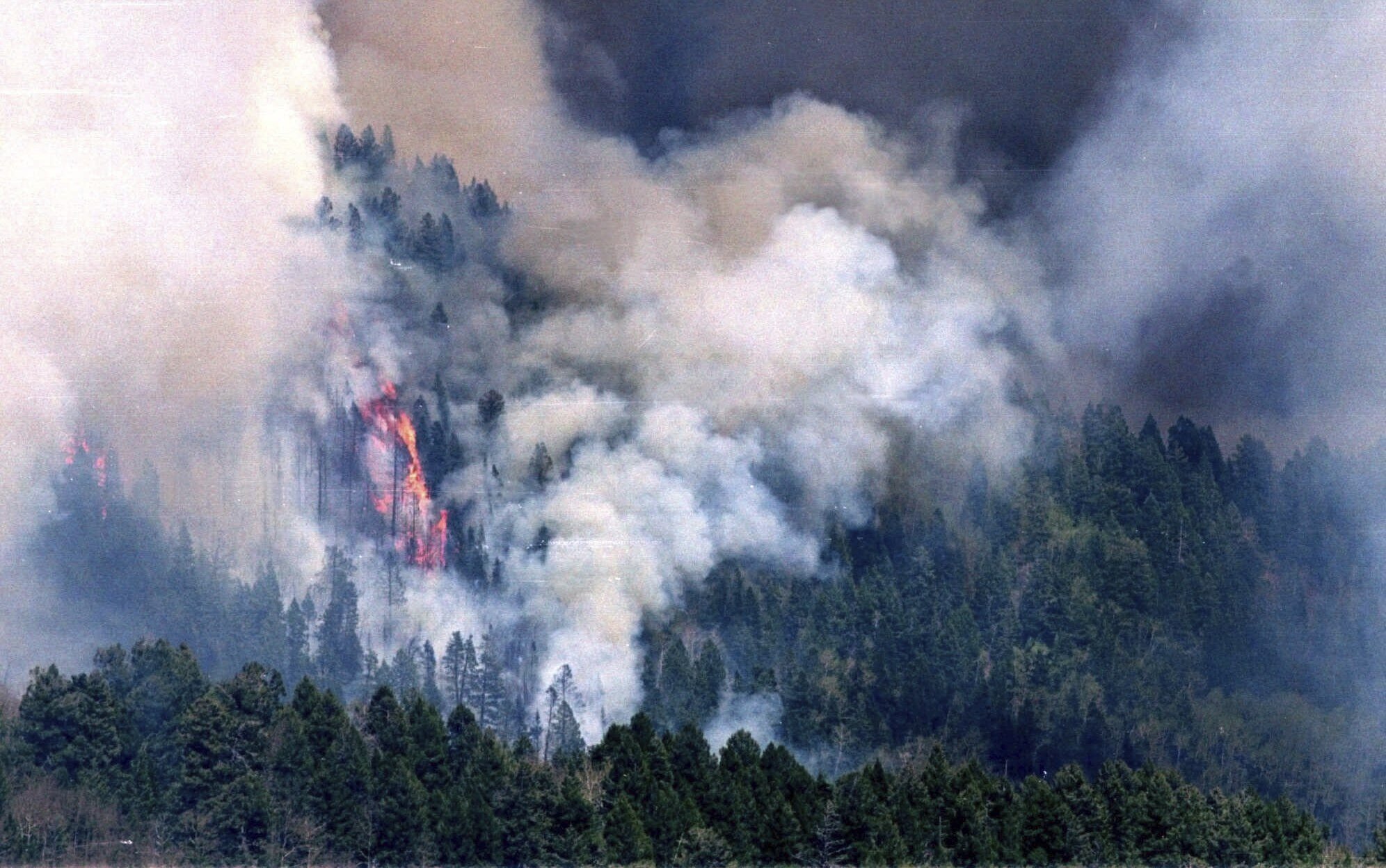 Wildfires Managing Flames