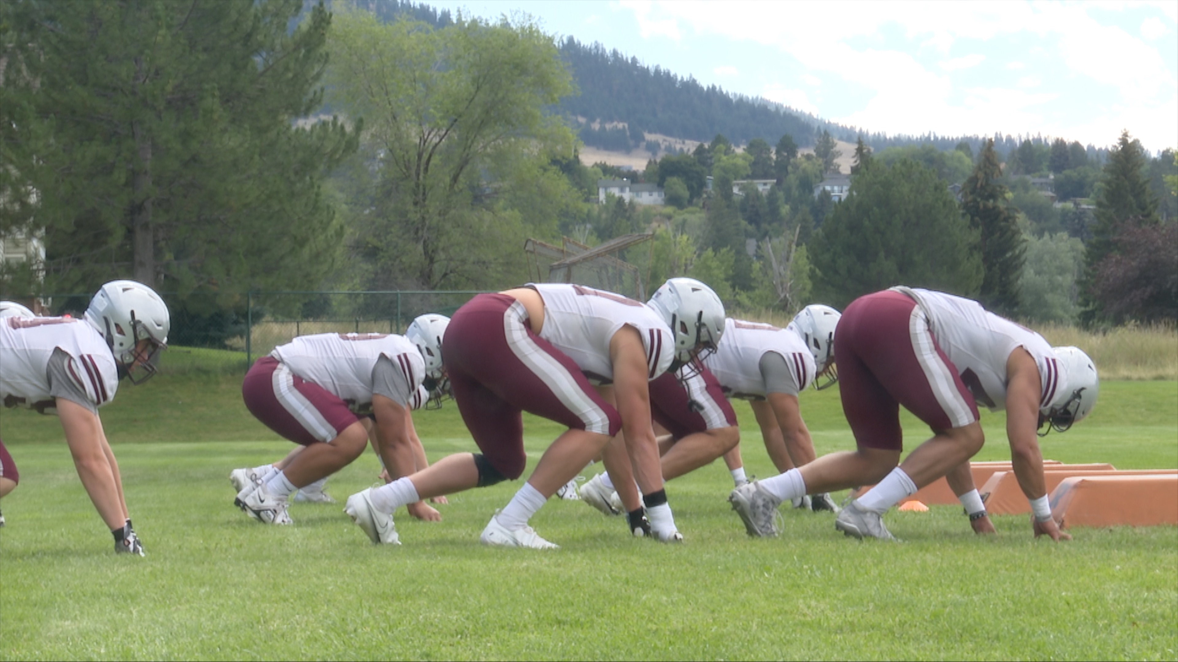 GRIZ FB D LINE.jpg