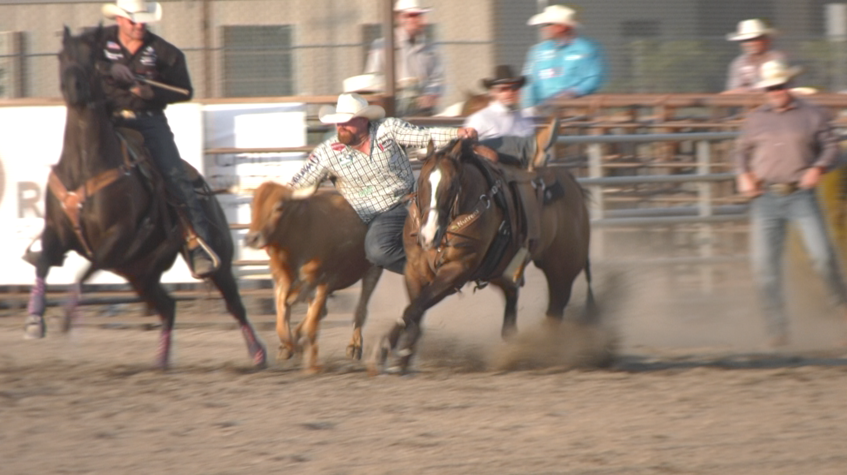 Bozeman Stampede Day 3: Final Results