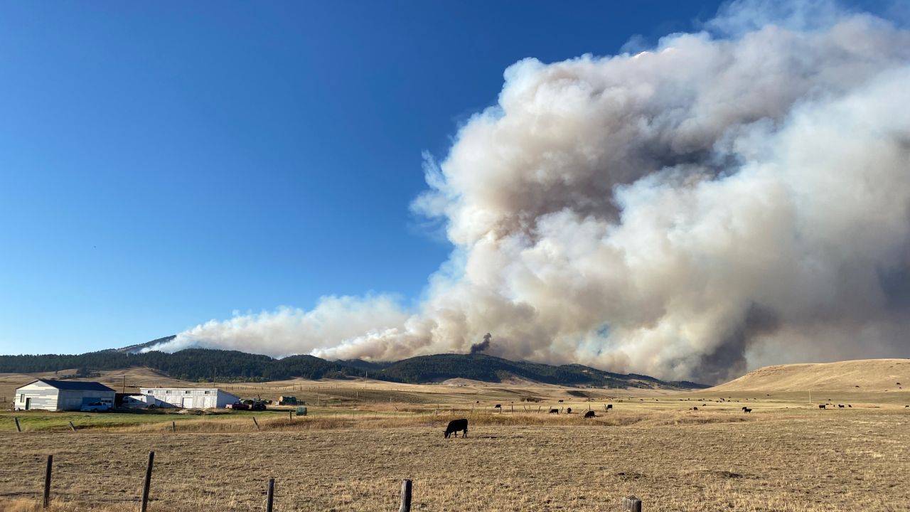 South Moccasin Fire
