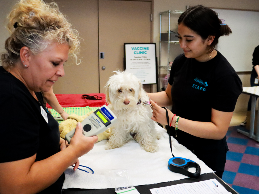 sd_humane_society_microchip_dog_2026.png