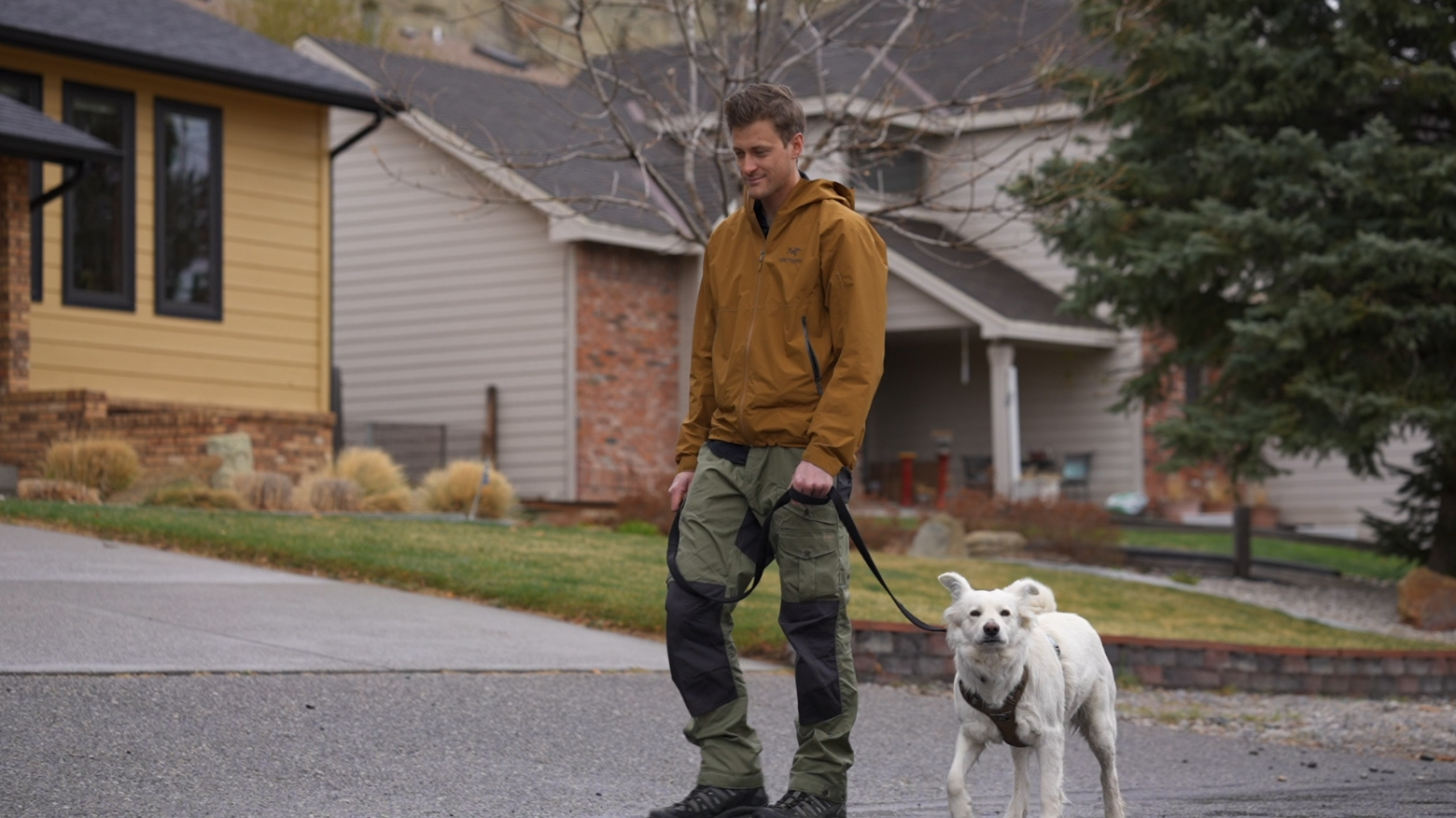 From Iraq to Montana: Beautiful bond compels Billings soldier to rescue dog during deployment - Vimarsana News