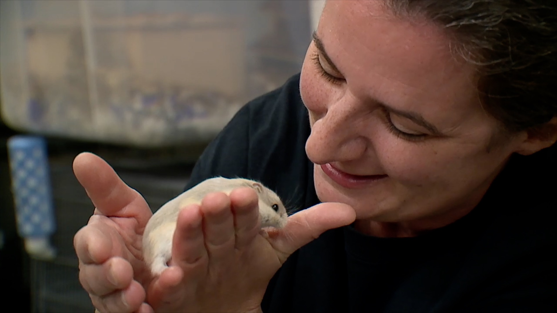 Wee companions employee with animal
