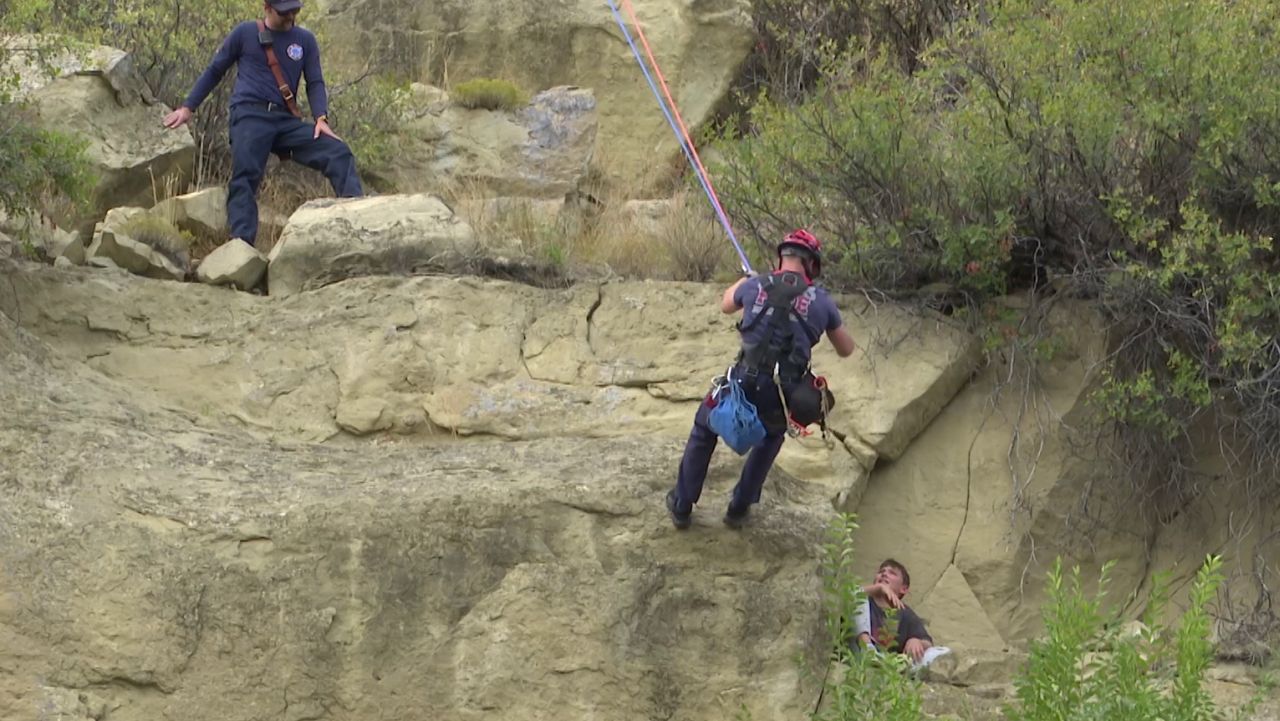 Firefighters rescue boy from Rims after he tries to save family cat