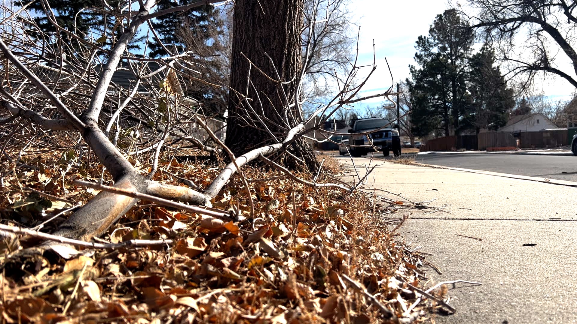Local business owners and home owners prepare for wind storm